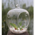 Real Beautiful Functional Plant Terrarium